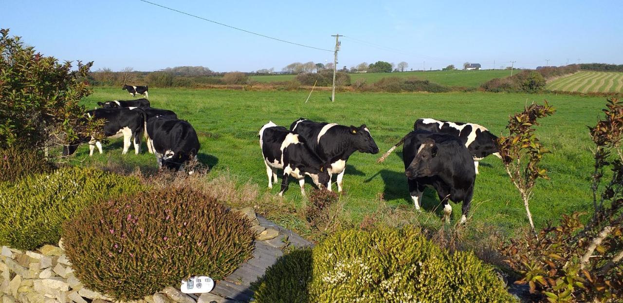 Murphys Irish Farmhouse トラリー エクステリア 写真