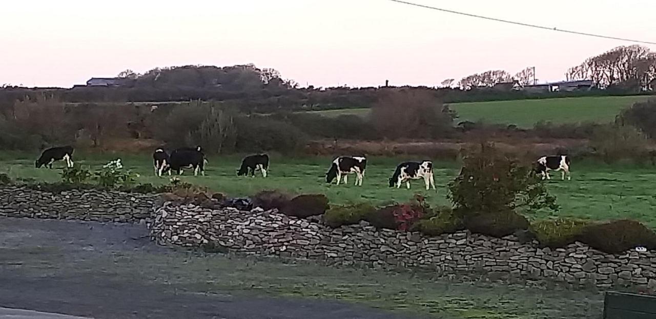 Murphys Irish Farmhouse トラリー エクステリア 写真